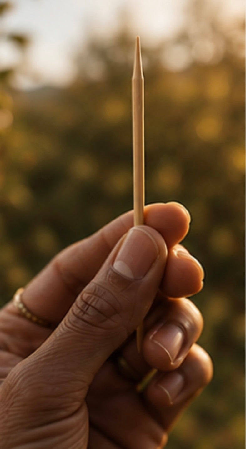 Hand holding a toothpick with a blurred natural background